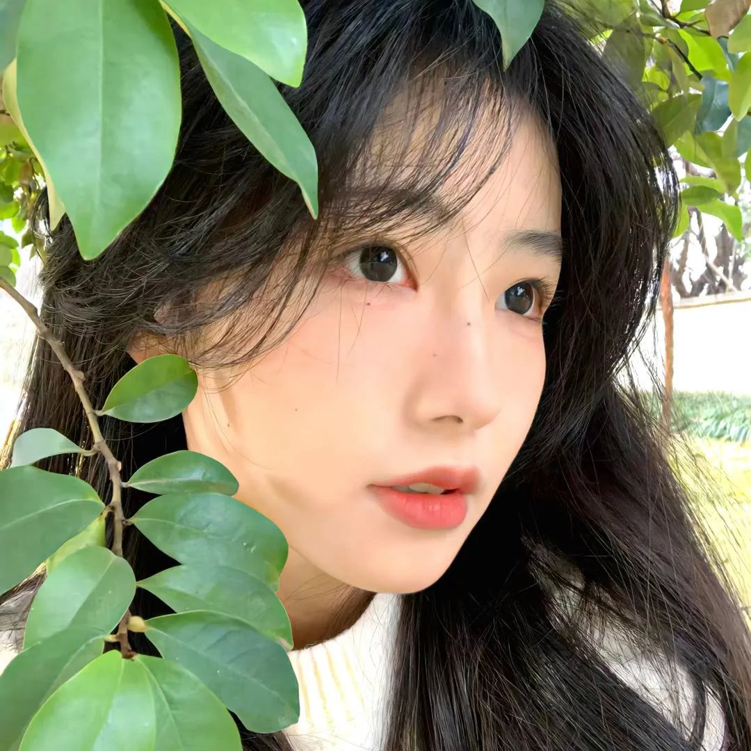 自然学院林第二季