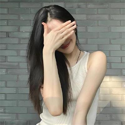 不可思议猫森林