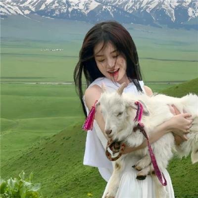 小乌龟的开学日